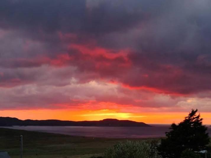 The Sleepy Crofter Glamping - Achiltibuie Hotel Exterior photo